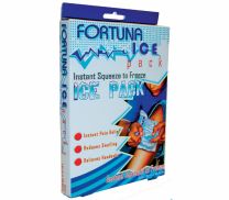 Ice pack